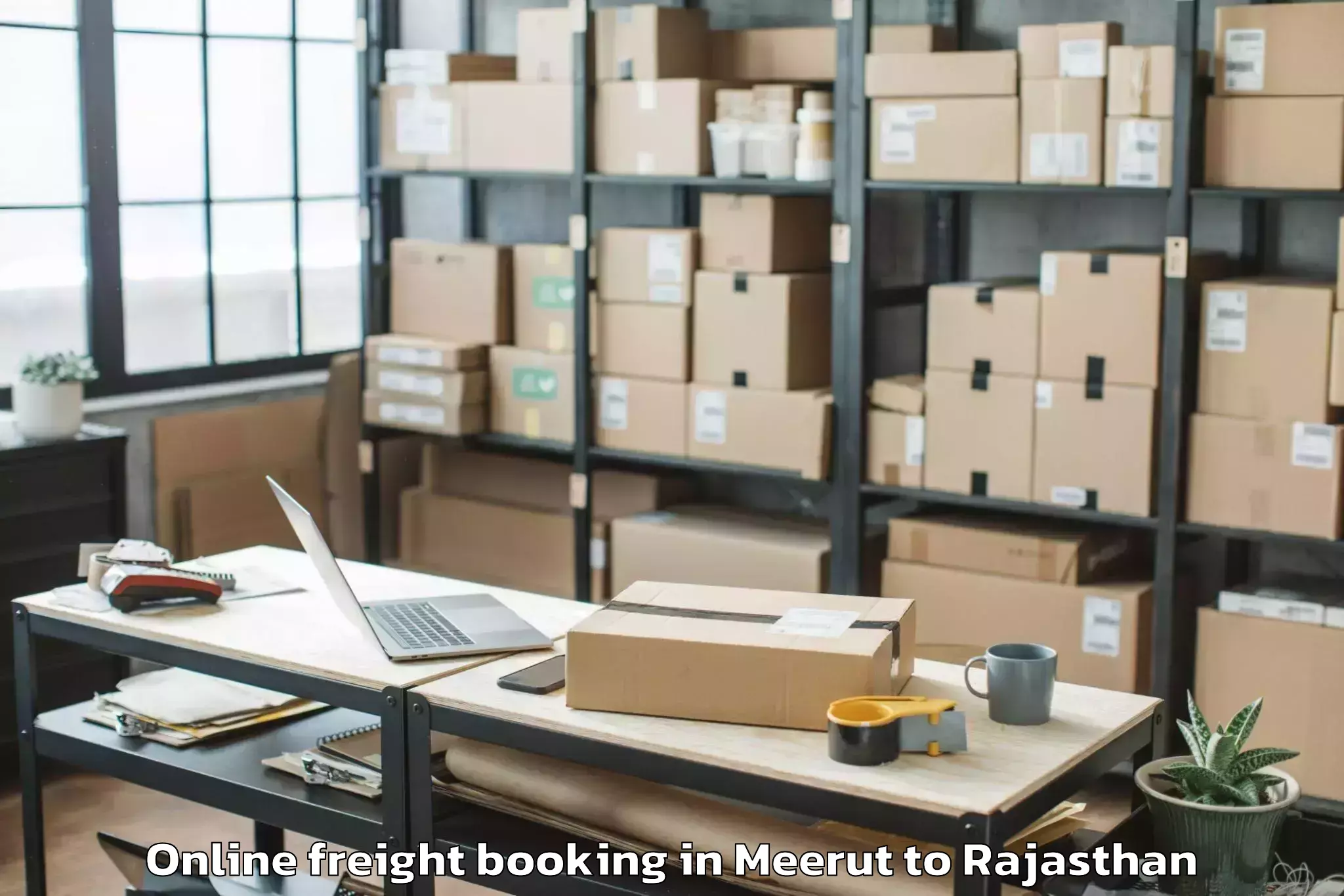 Leading Meerut to Hindaun Online Freight Booking Provider